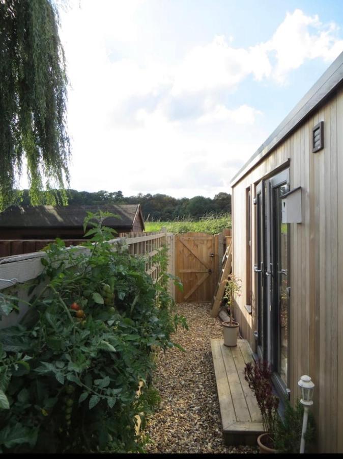 Unique Wooden Lodge With A View! London Ngoại thất bức ảnh